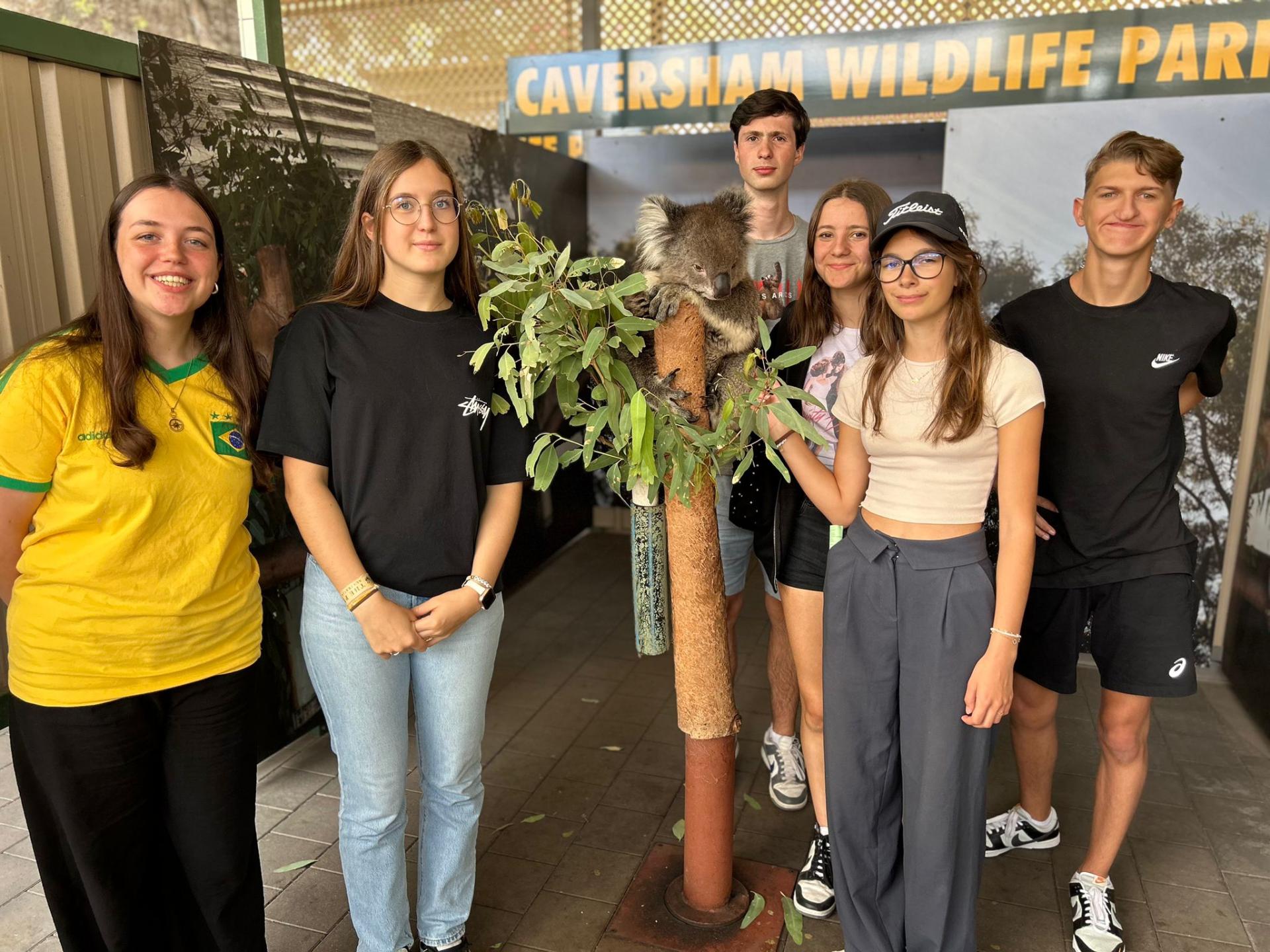 Group at caversham and koala